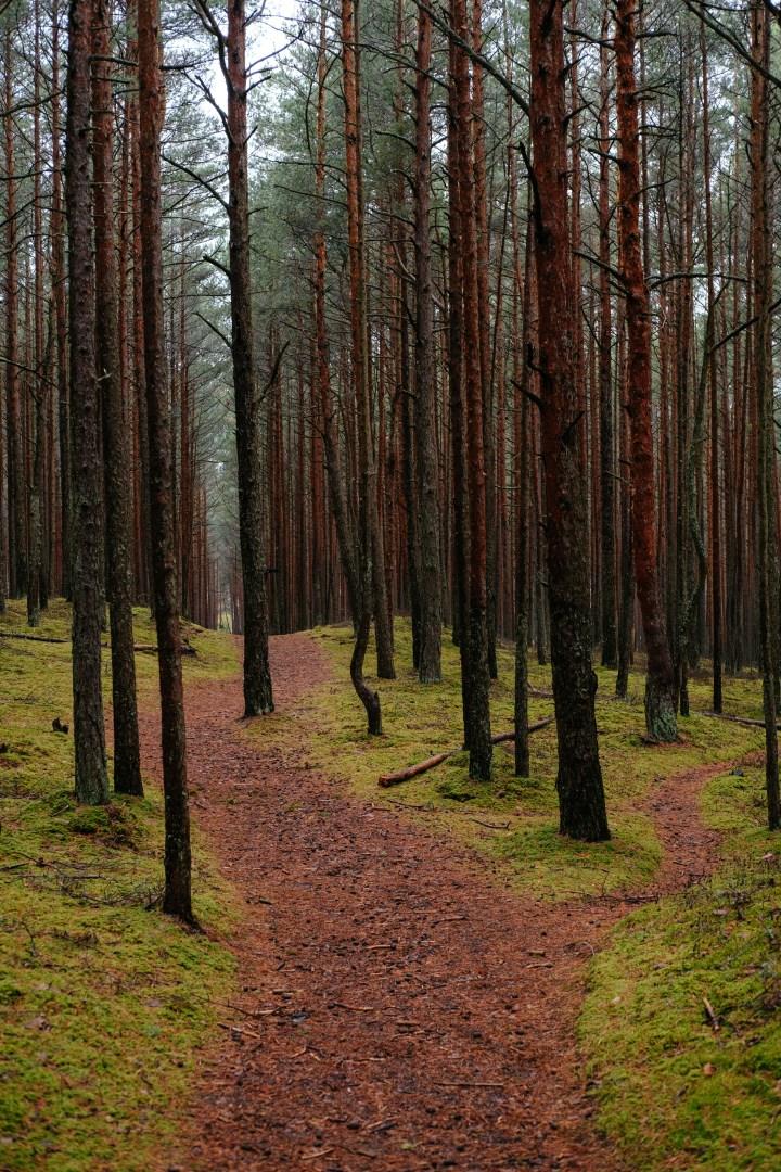 Jurmala