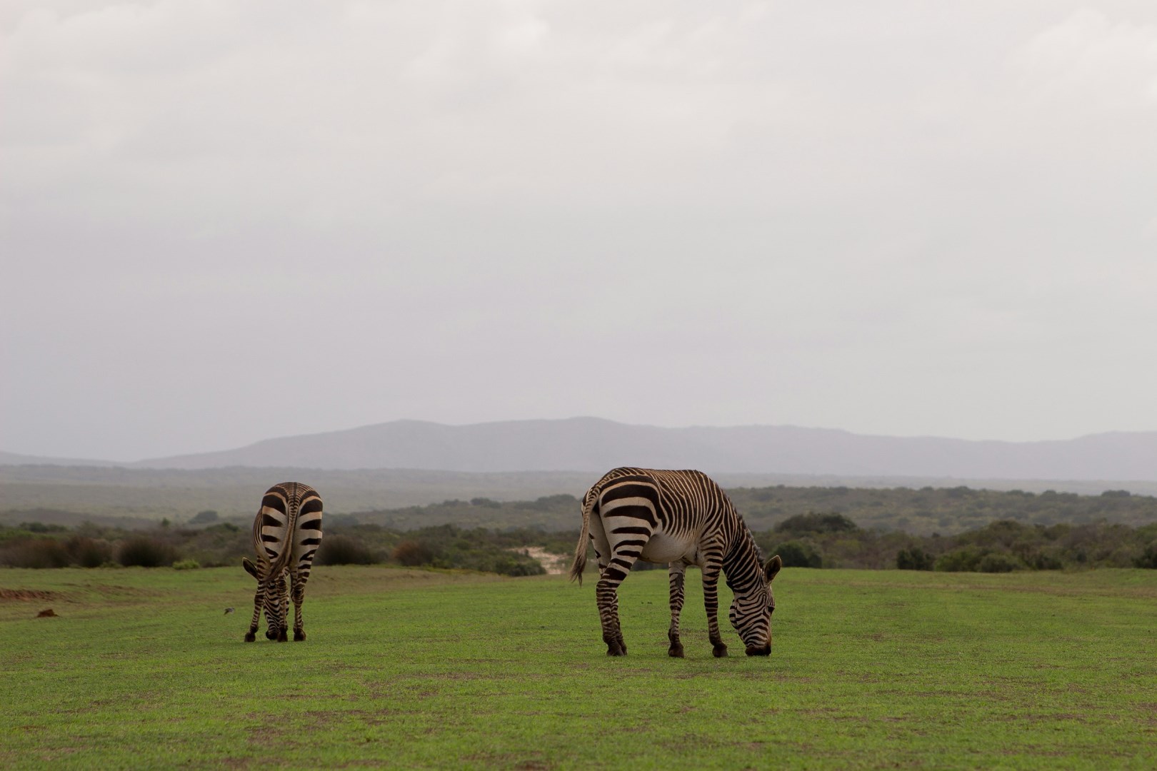 De Hoop Nature Reserve