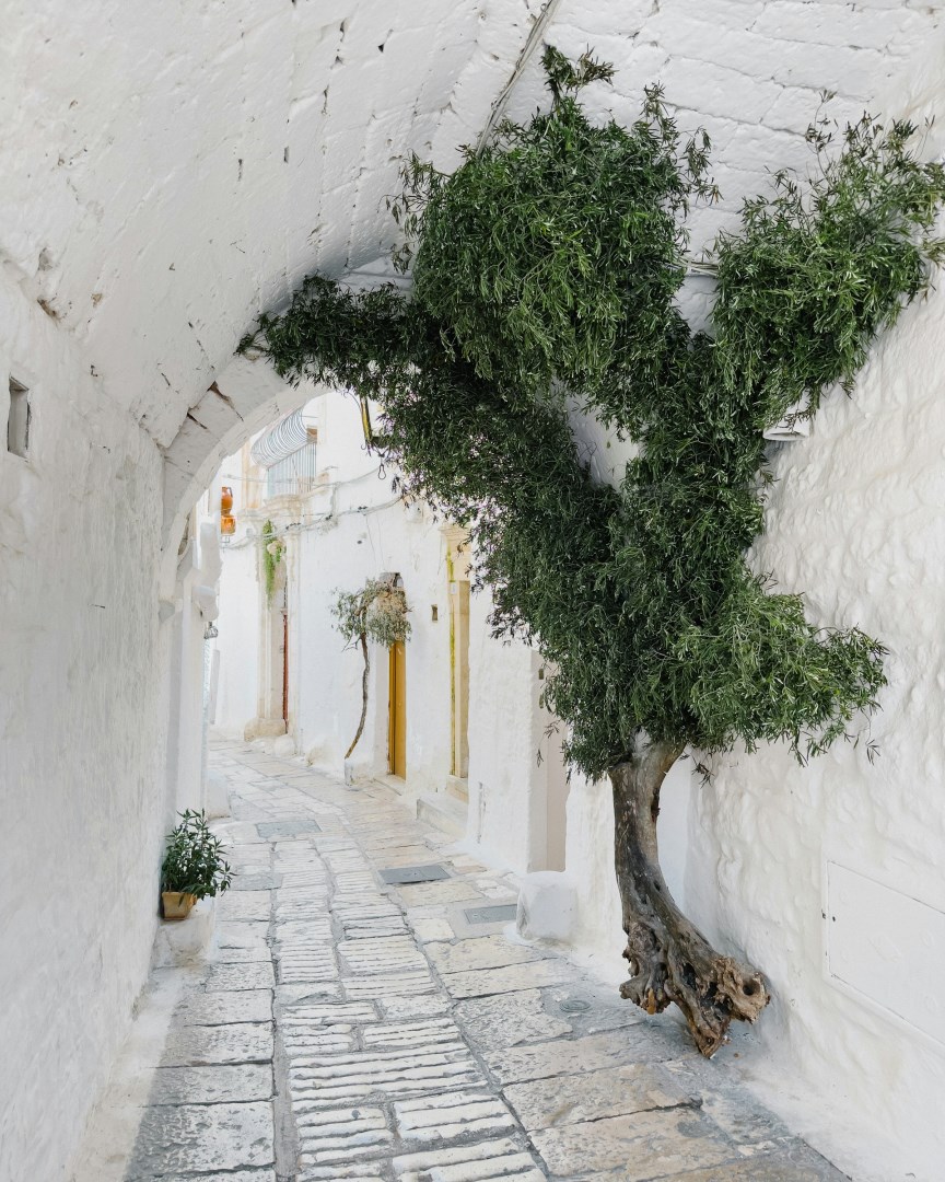  Photo Credit: Photo by Robert Bye on Unsplash
