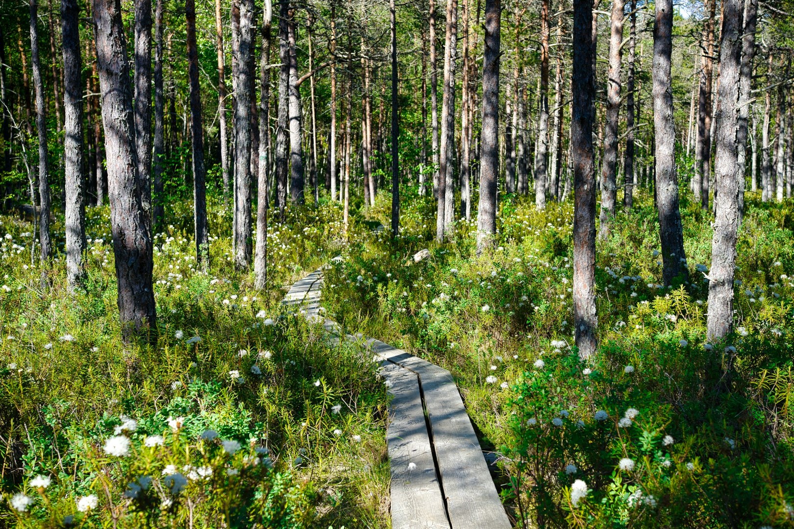 Lahemaa National Park