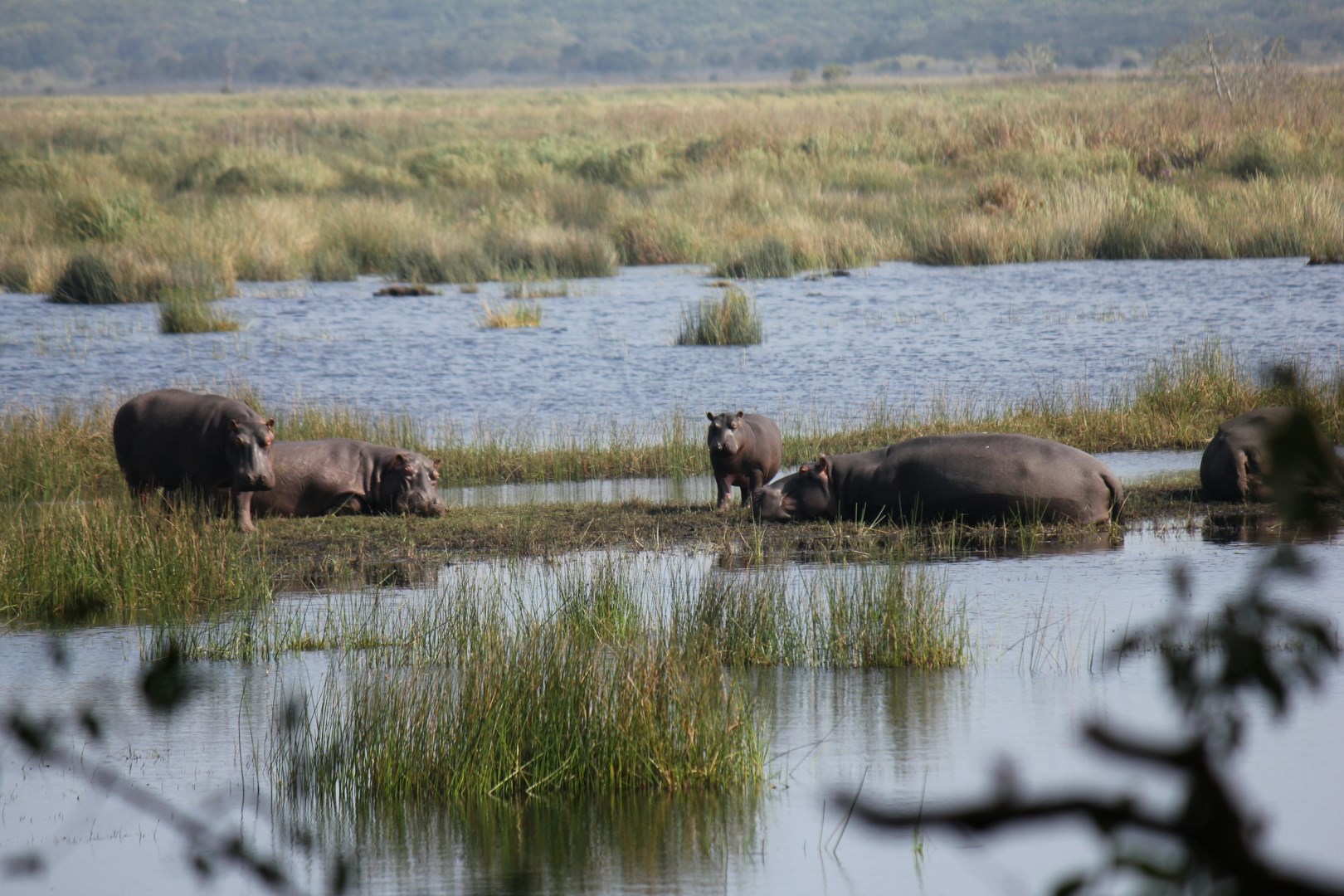 iSimangaliso Wetland Park
