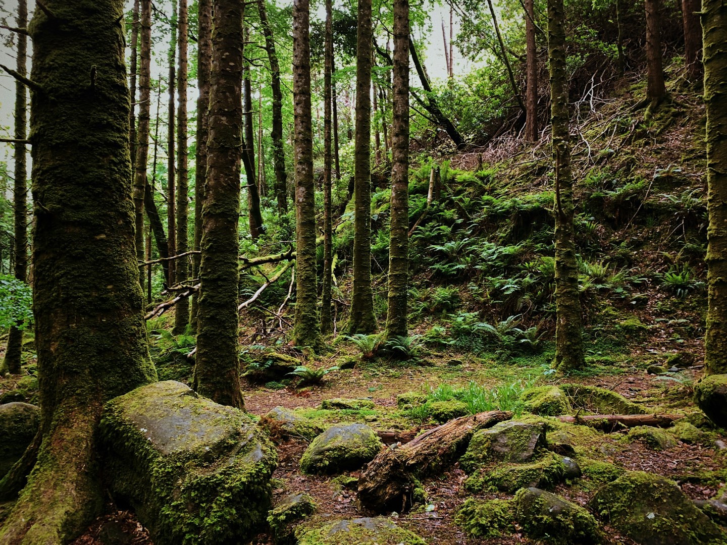  Photo Credit: Photo by Tommy Bond on Unsplash