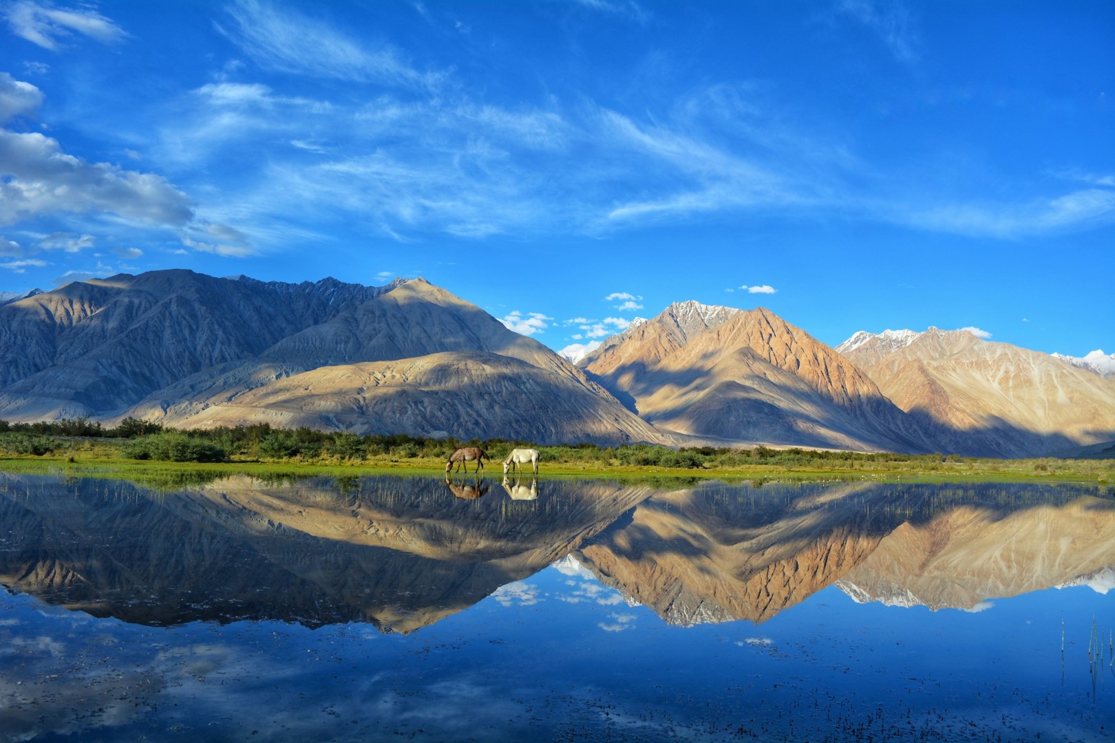 Leh