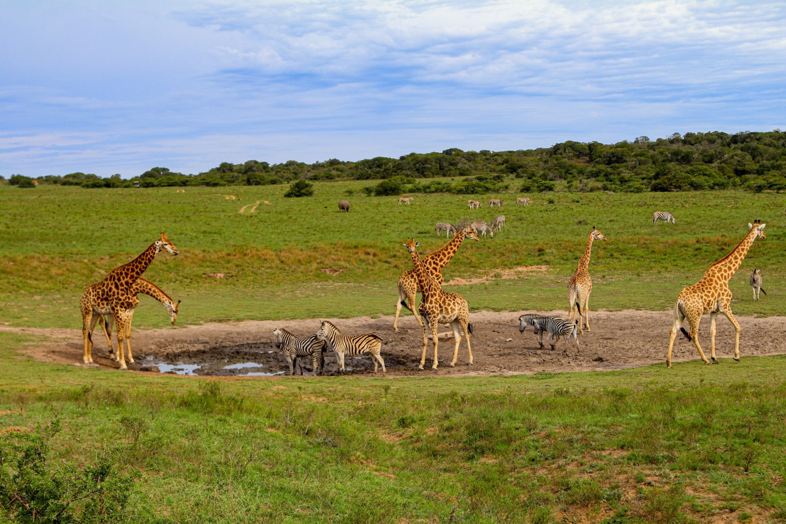 Amakhala Game Reserve
