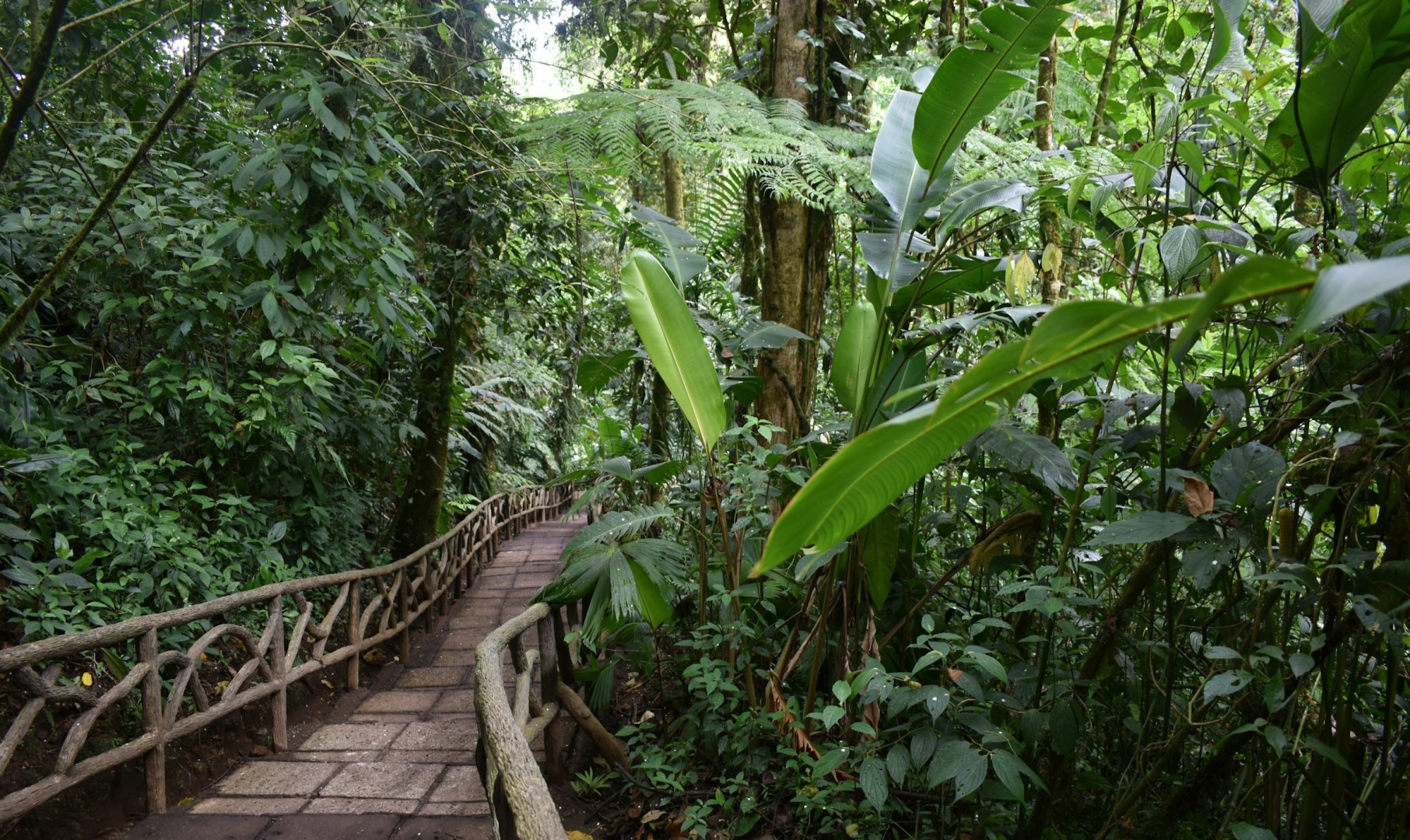 La Paz Waterfall Gardens Nature Park