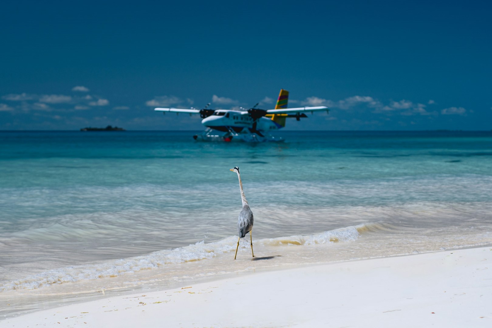 Alifu Dhaalu Atoll