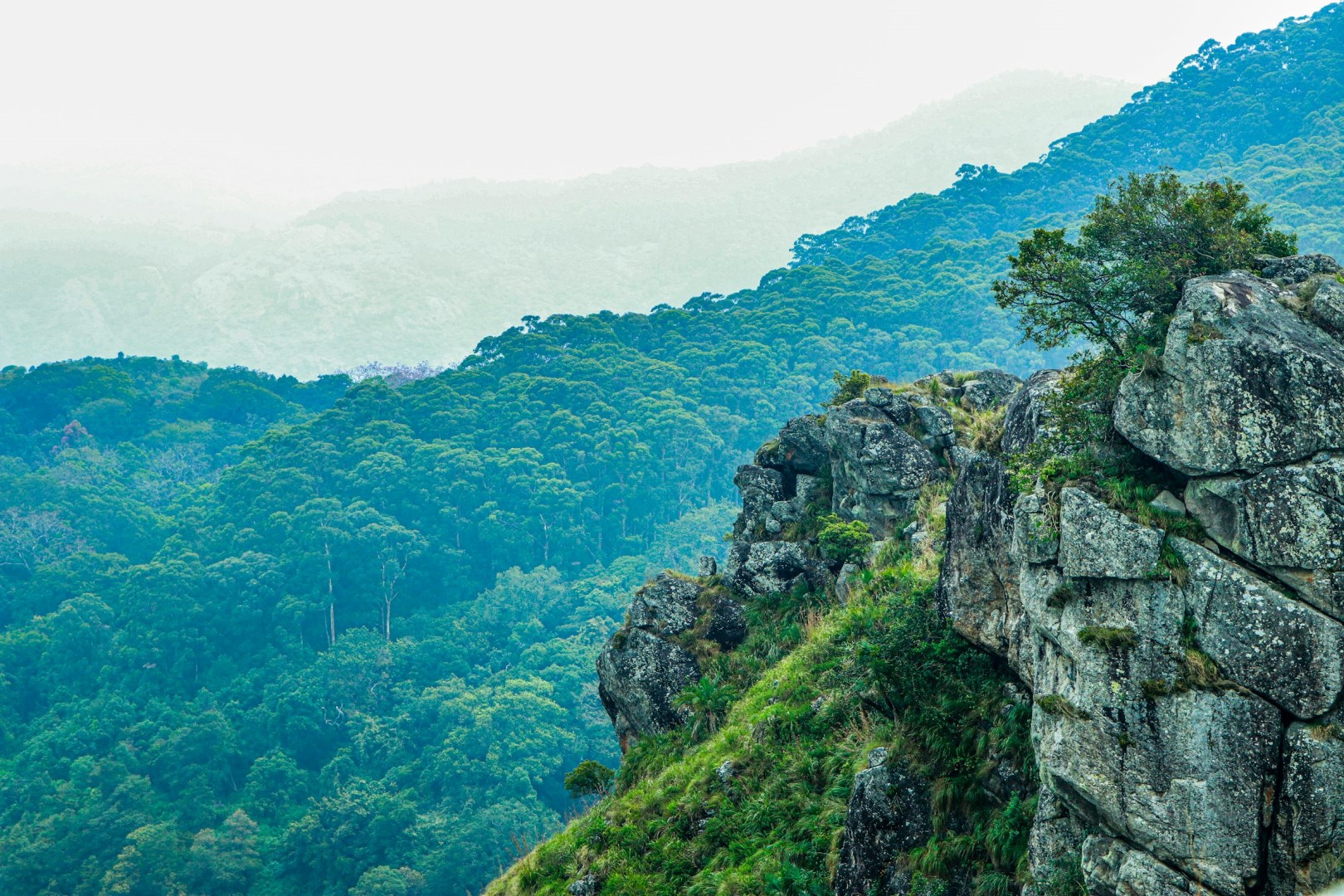  Photo Credit: Photo by mugi jo on Unsplash