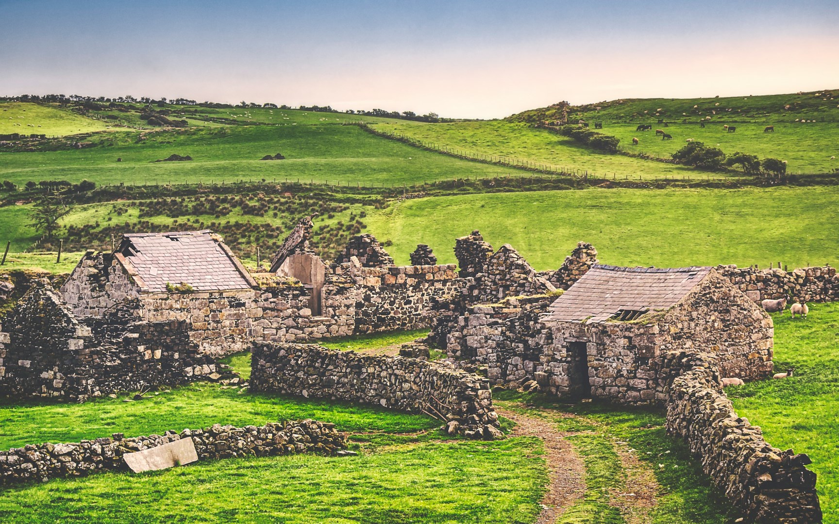  Photo Credit: Photo by K. Mitch Hodge on Unsplash