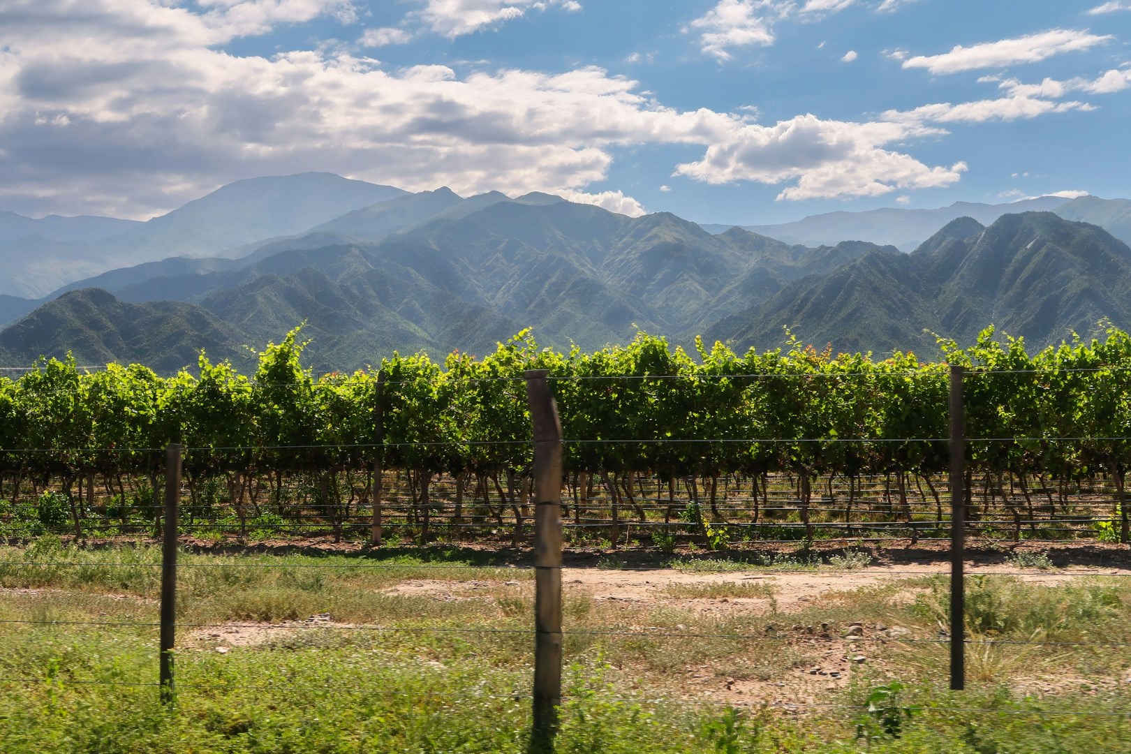  Photo Credit: Photo by Hector Ramon Perez on Unsplash