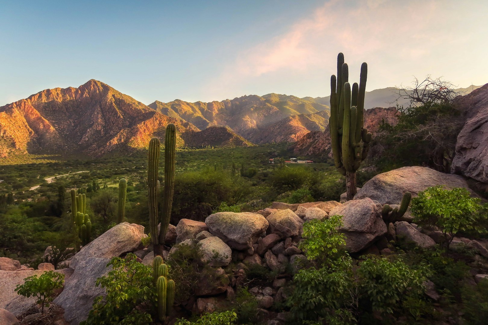  Photo Credit: Photo by Hector Ramon Perez on Unsplash