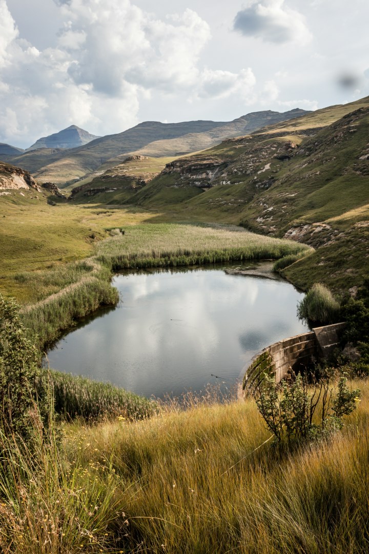  Photo Credit: Photo by Claire Brear on Unsplash