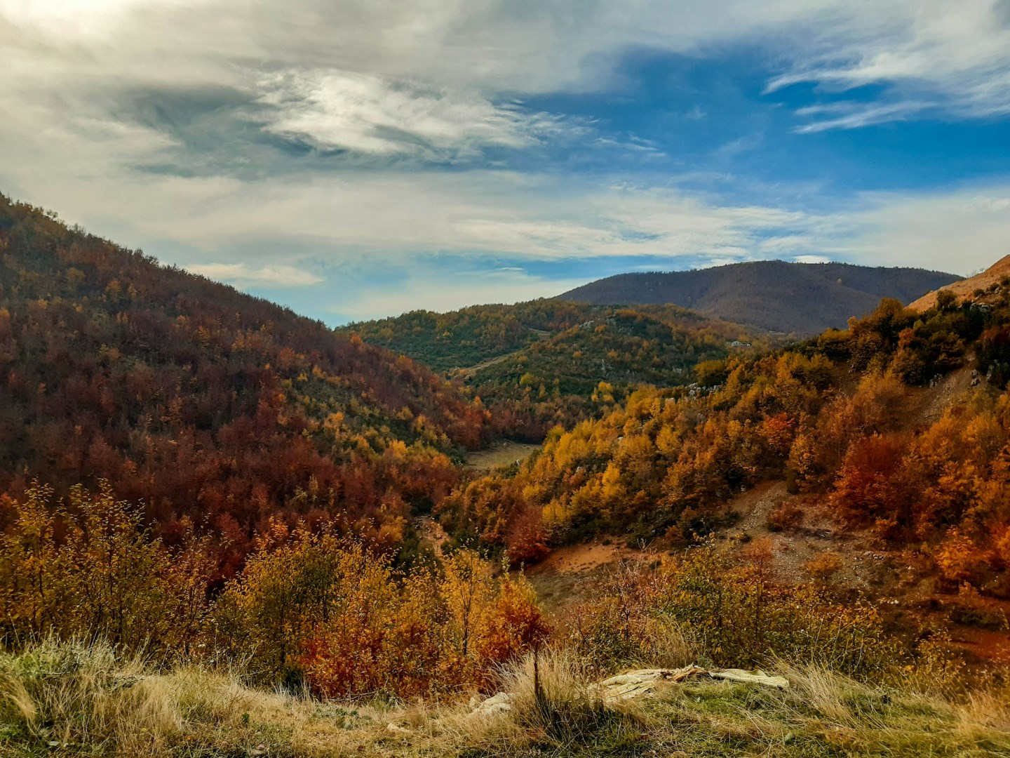  Photo Credit: Photo by Endri Killo on Unsplash