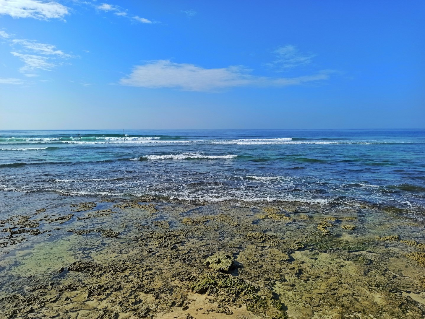  Photo Credit: Photo by sahan Jayasuriya on Unsplash