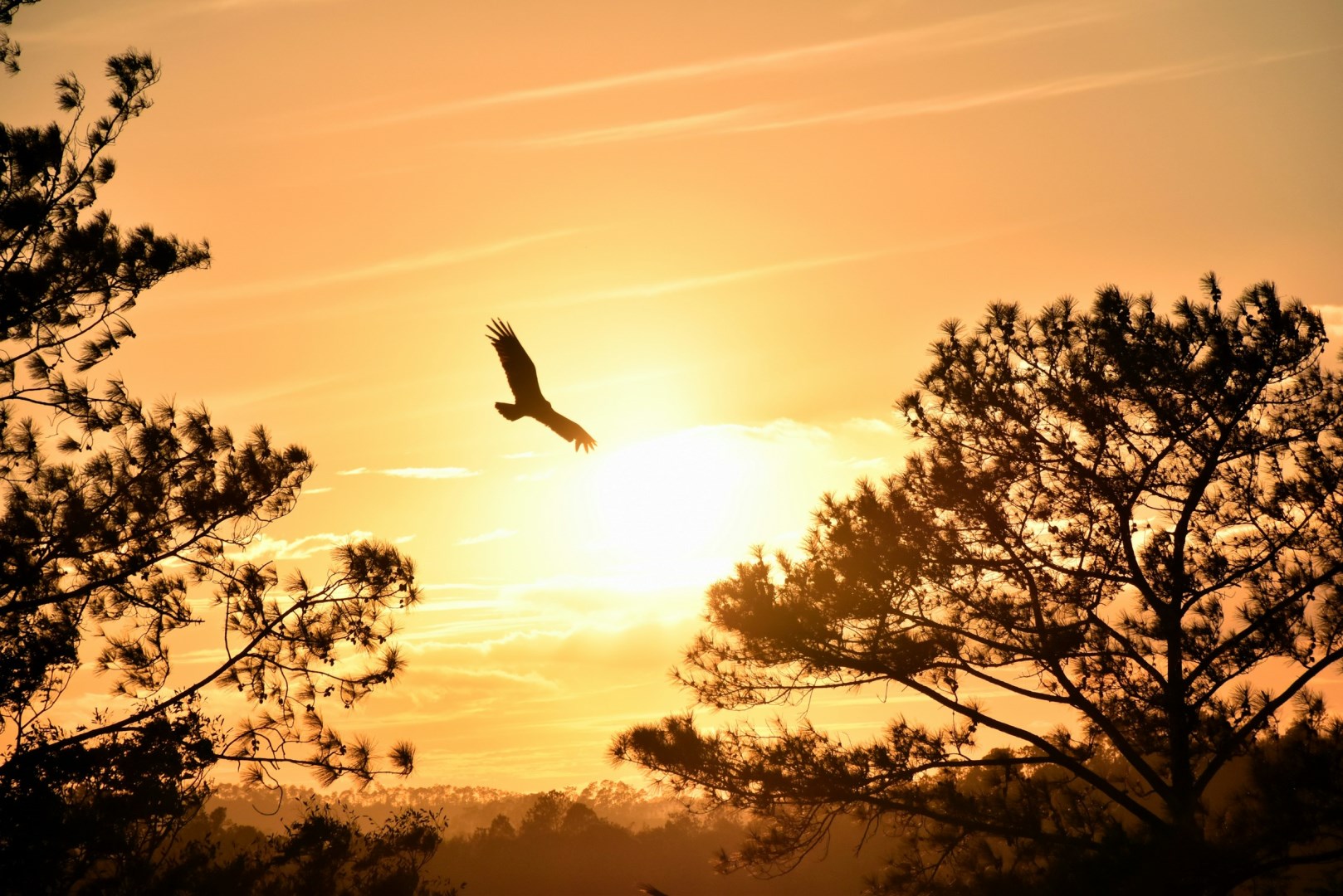  Photo Credit: Photo by Sam Bark on Unsplash
