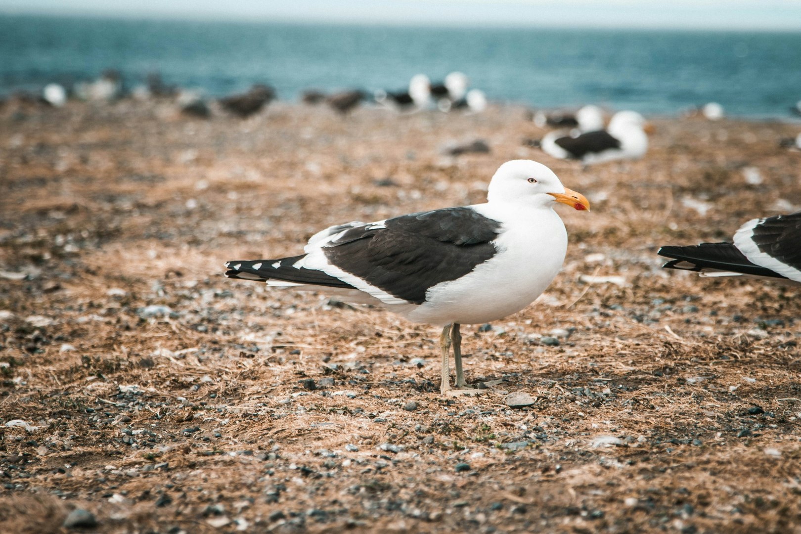  Photo Credit: Photo by Gustavo Sánchez on Unsplash