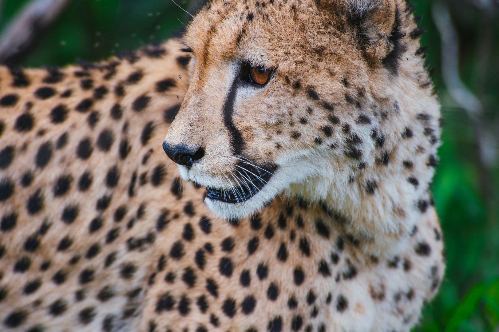  Photo Credit: Photo by Jason Briscoe on Unsplash
