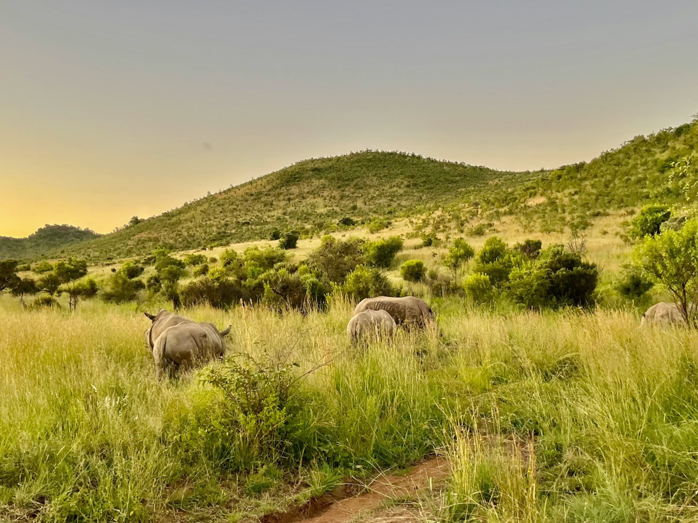  Photo Credit: Photo by Rion De Villiers on Unsplash