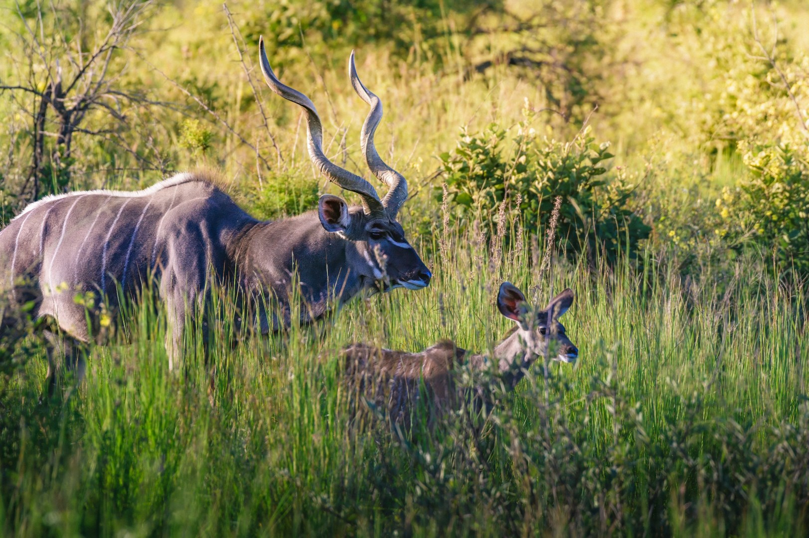  Photo Credit: Photo by Bernard Guevara on Unsplash