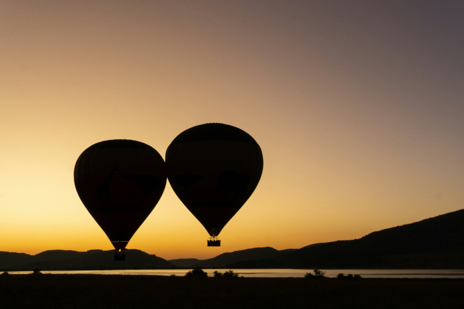  Photo Credit: Photo by Theo Topolevsky on Unsplash