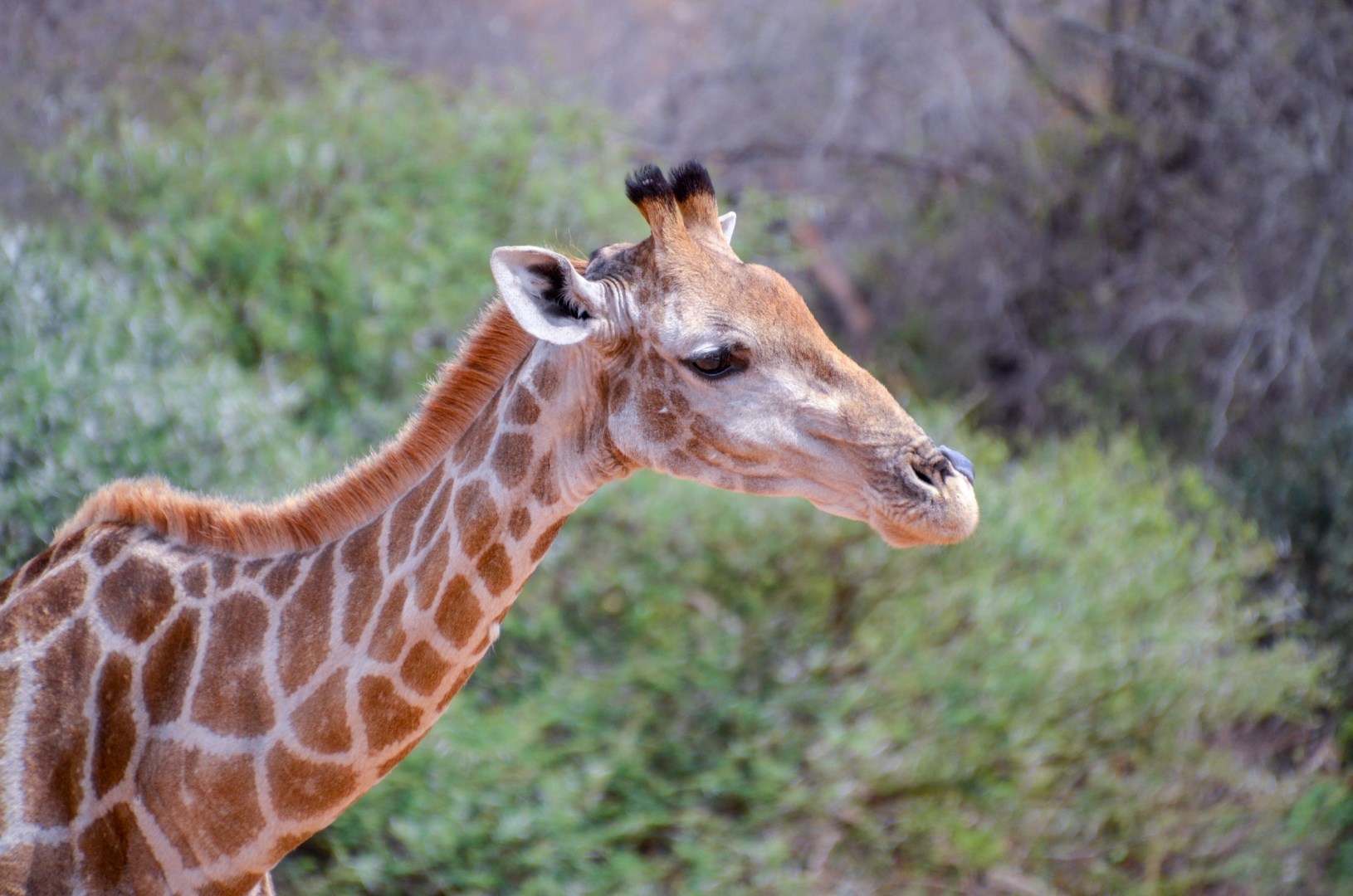  Photo Credit: Photo by Ingrid Behrens on Unsplash
