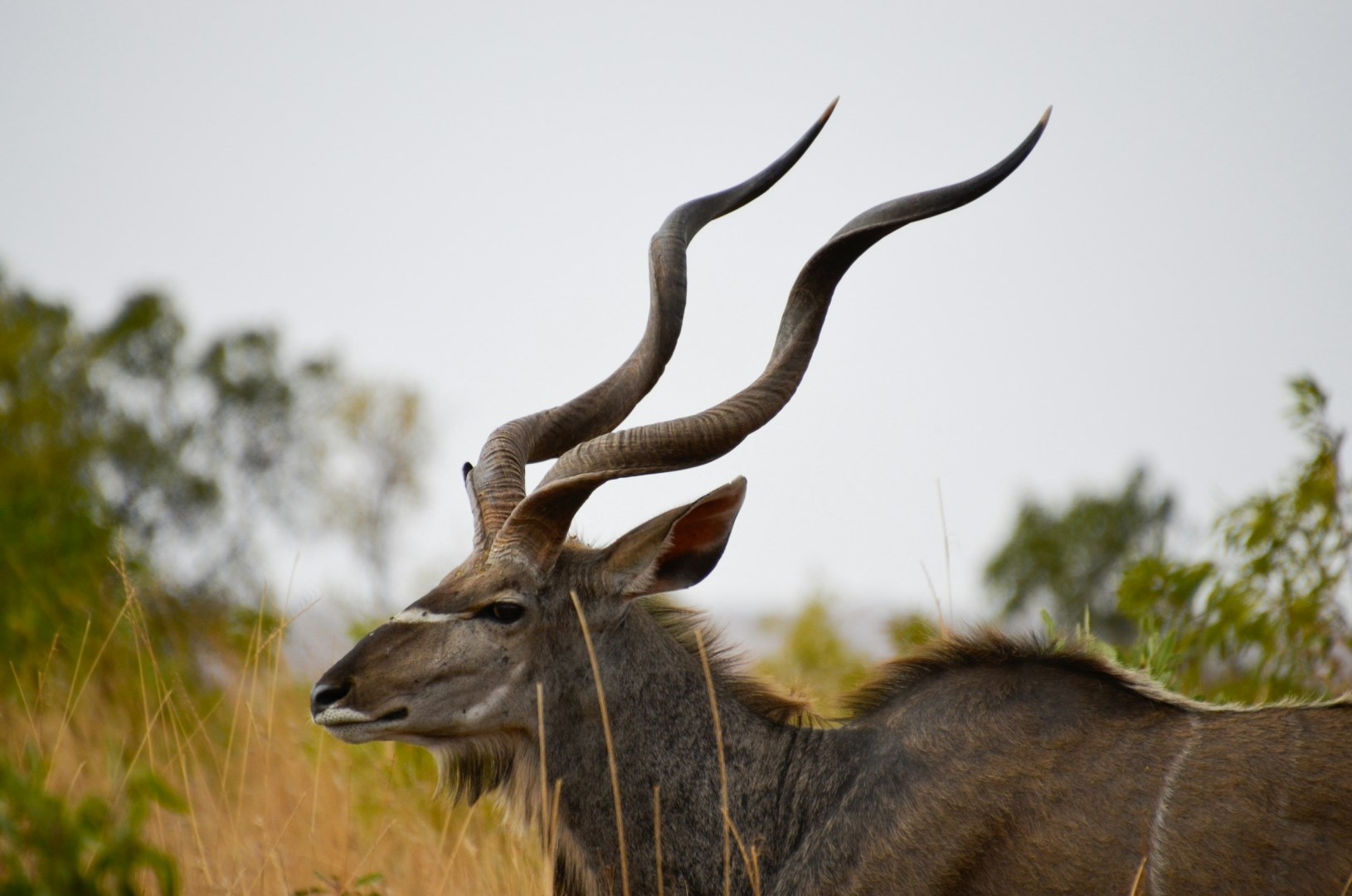  Photo Credit: Photo by Ingrid Behrens on Unsplash