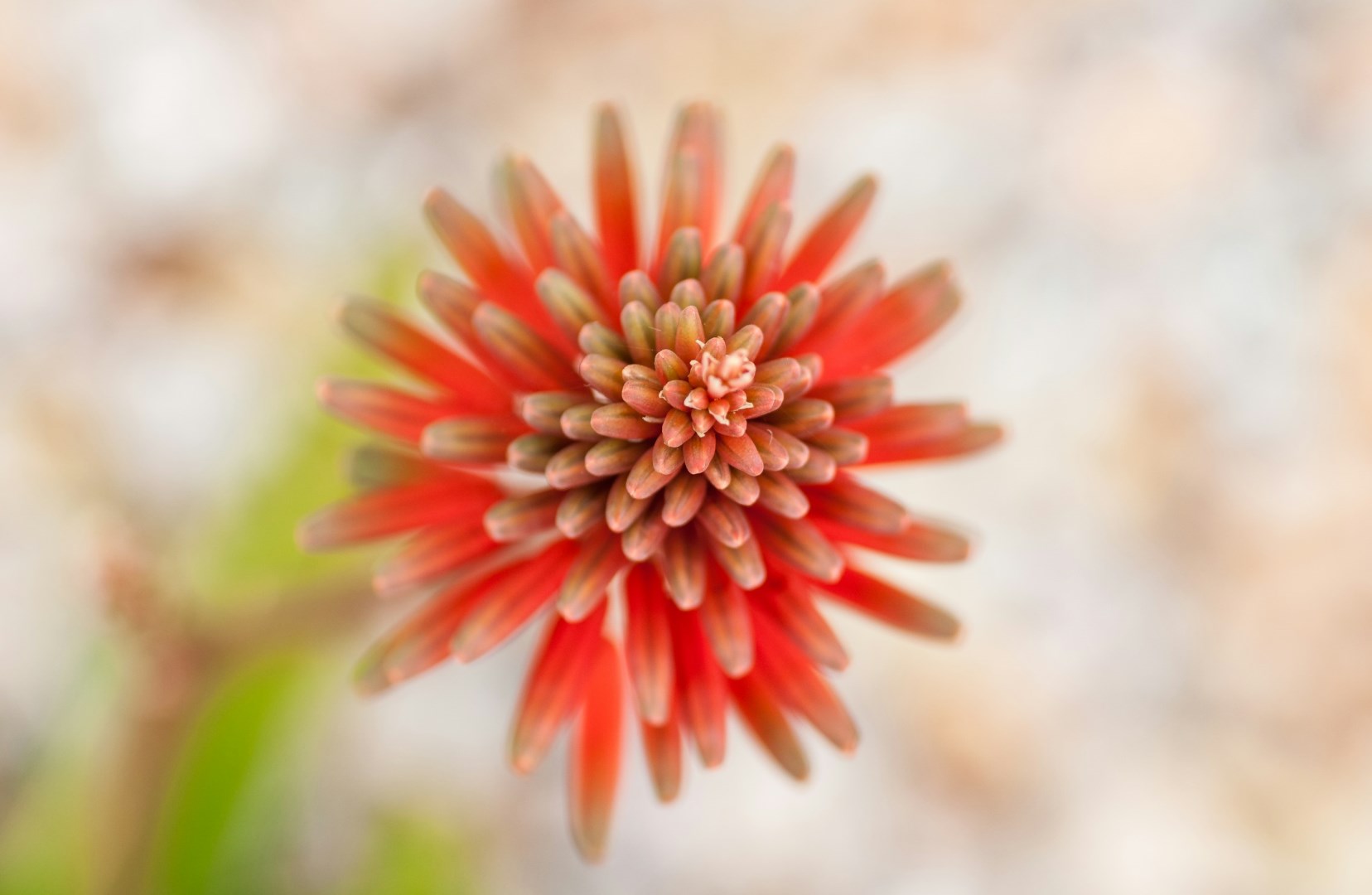  Photo Credit: Photo by Travis Leery on Unsplash