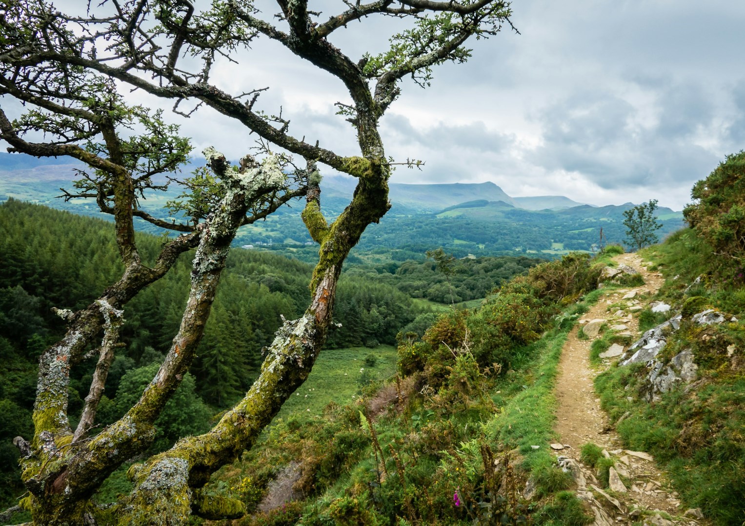  Photo Credit: Photo by James Armes on Unsplash