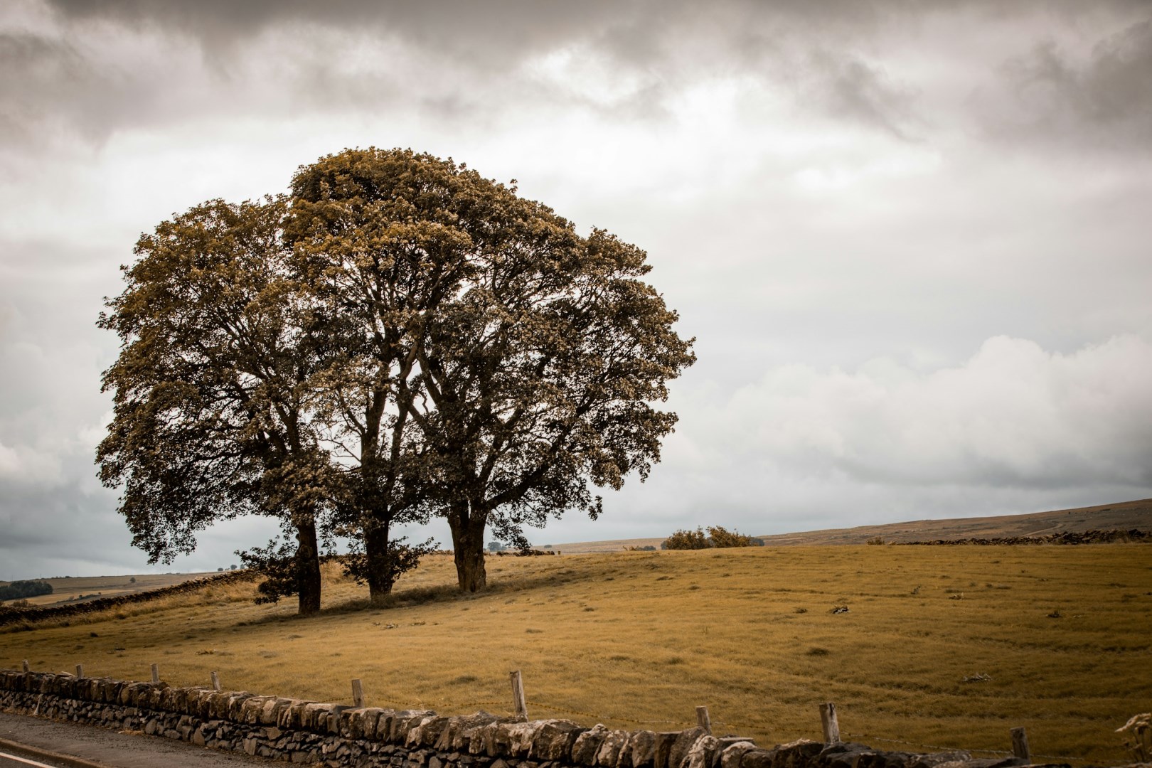  Photo Credit: Photo by Gabriel Kiener on Unsplash