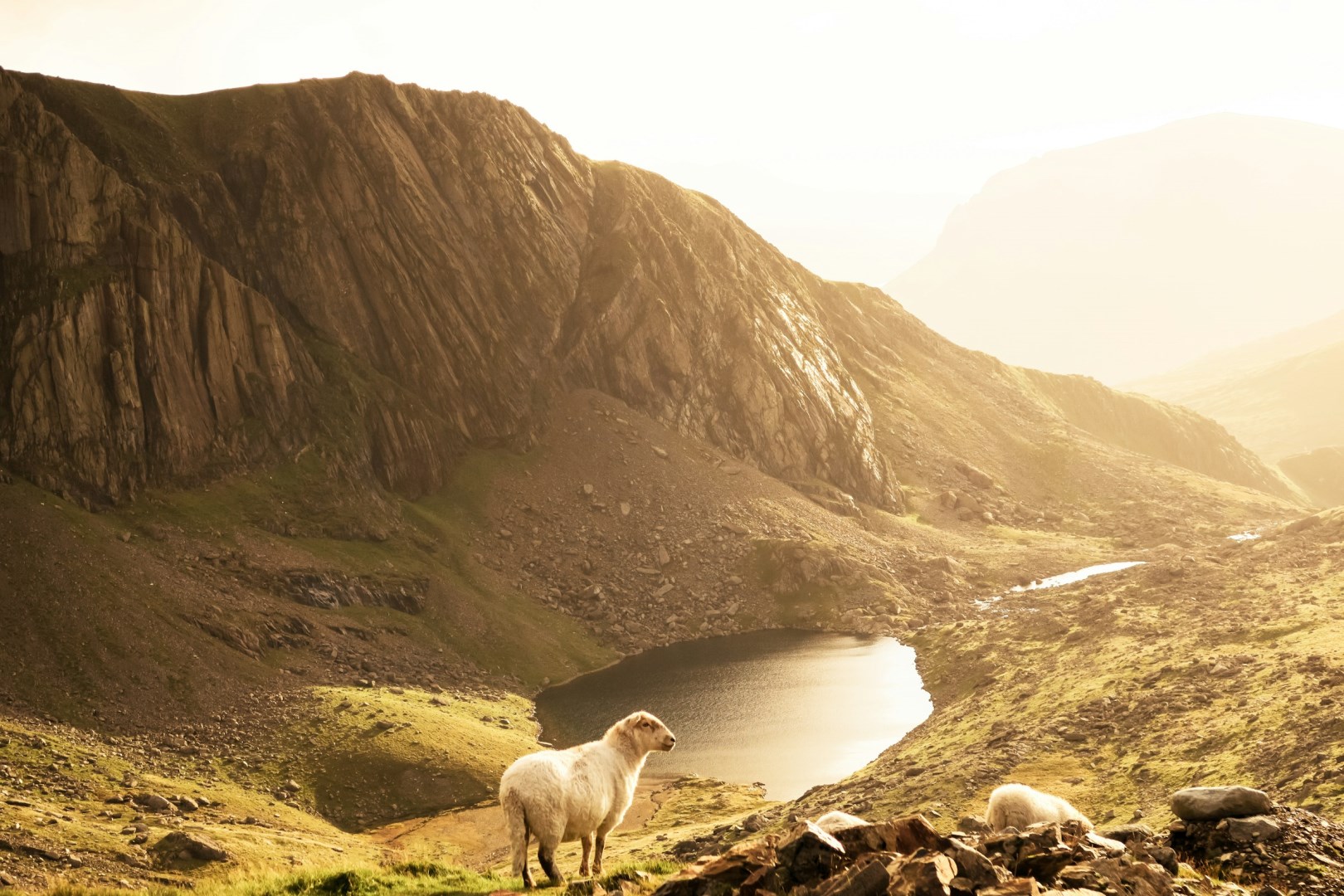  Photo Credit: Photo by Red Morley Hewitt on Unsplash