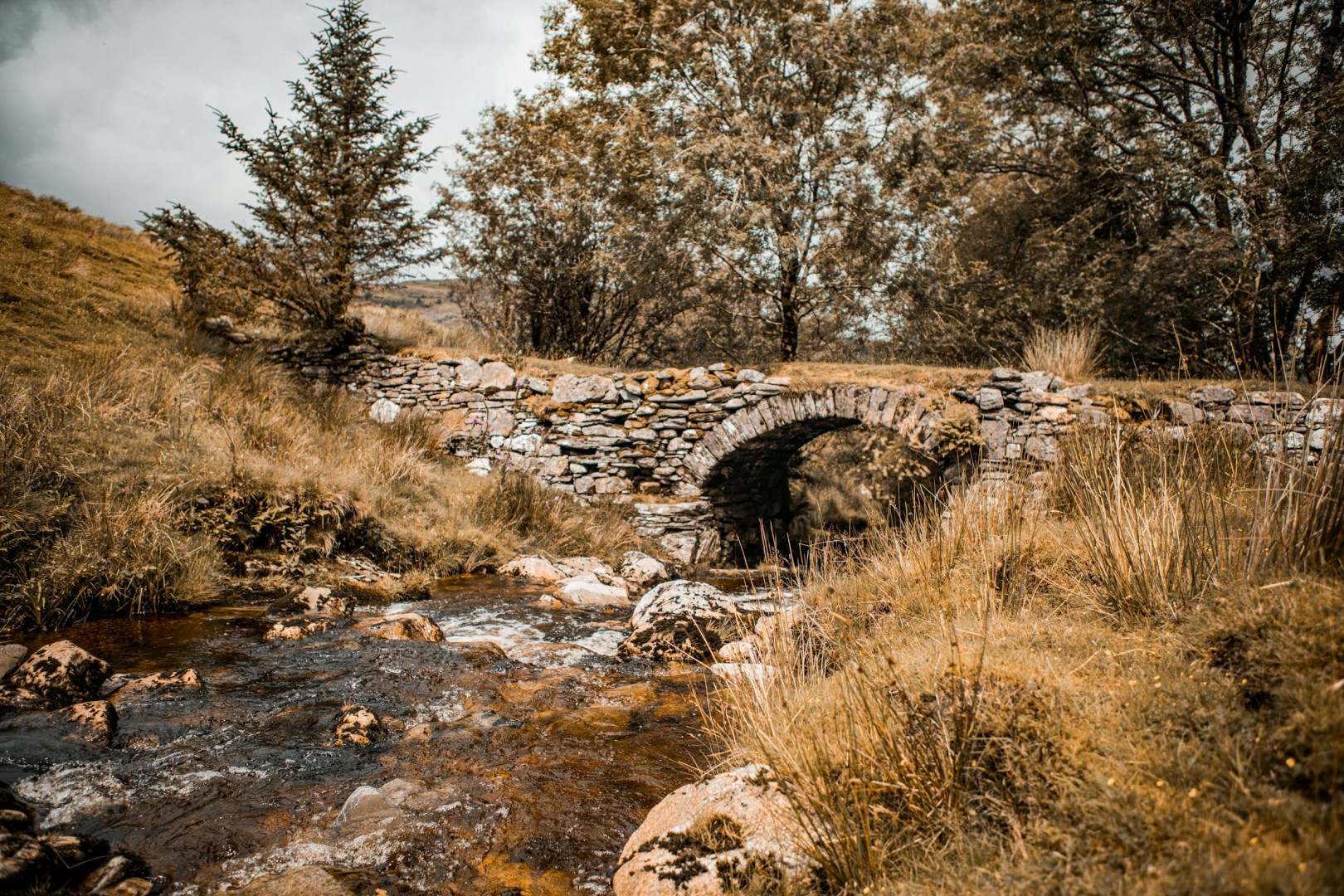  Photo Credit: Photo by Gabriel Kiener on Unsplash