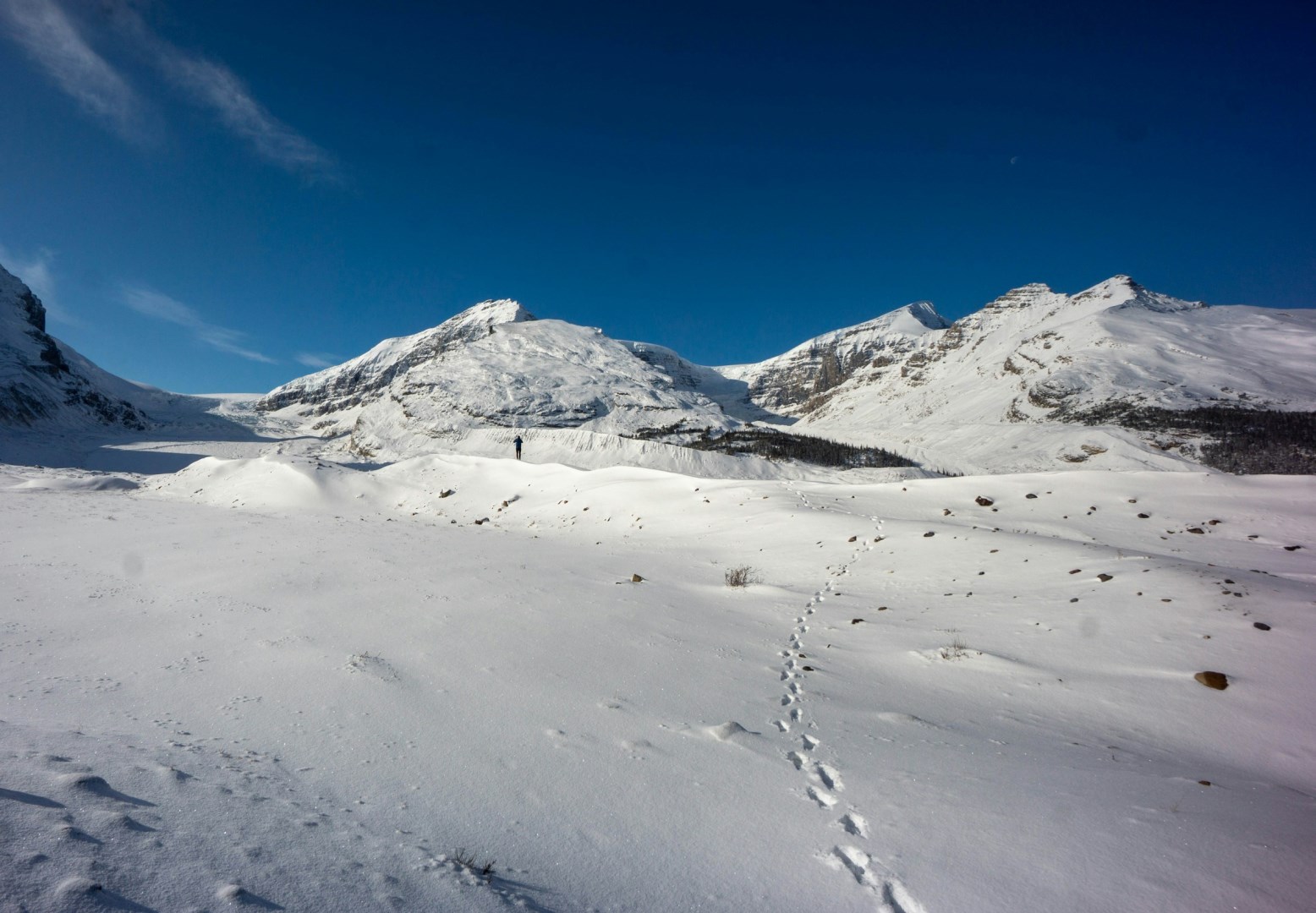 Athabasca Glacier