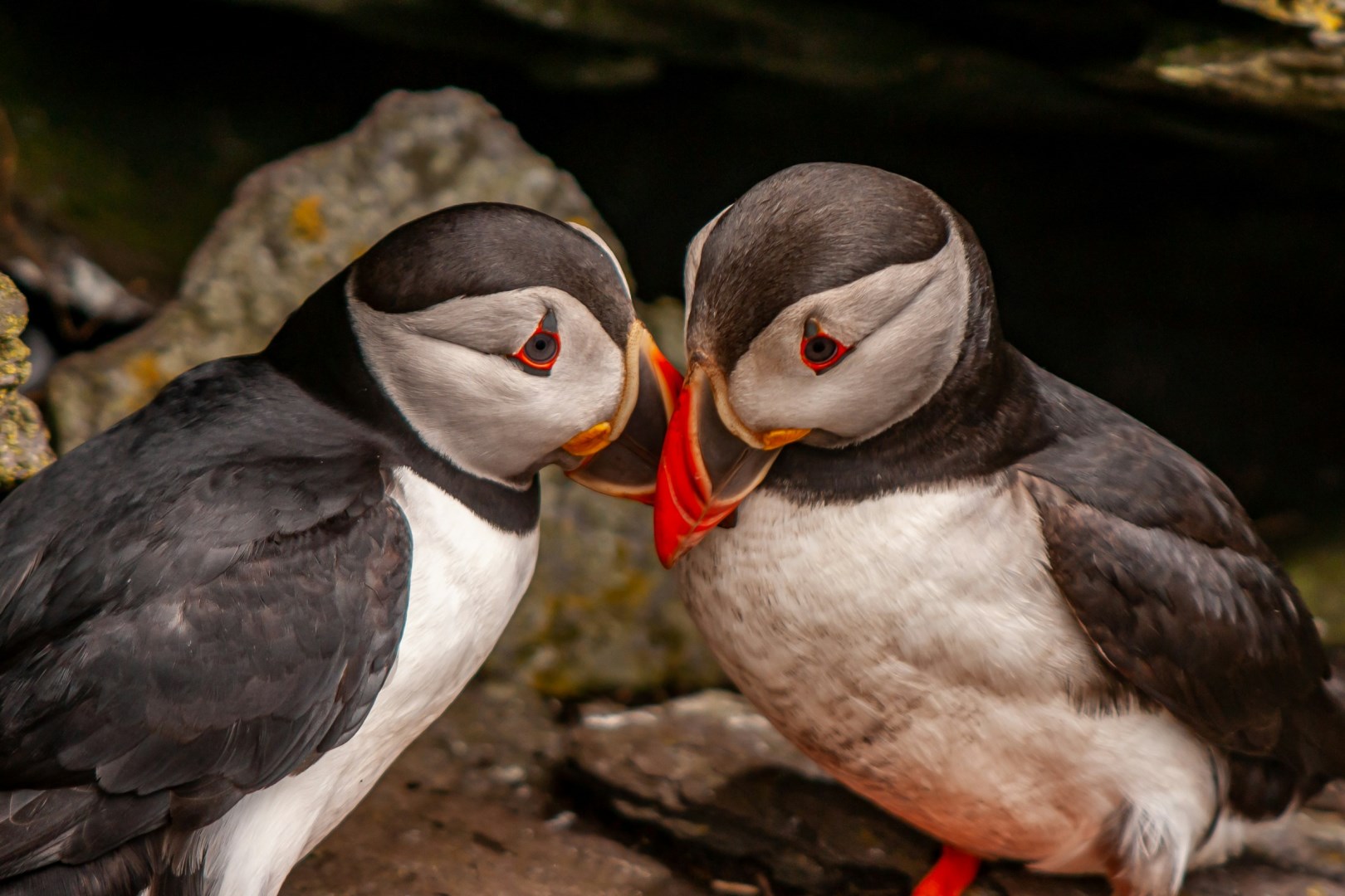  Photo Credit: Photo by Hans-Jurgen Mager on Unsplash