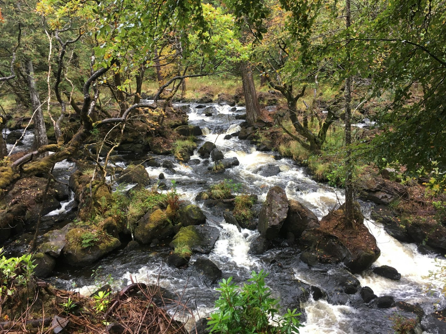 Aros Park - Photo Credit: Photo by Sergey Konstantinov on Unsplash