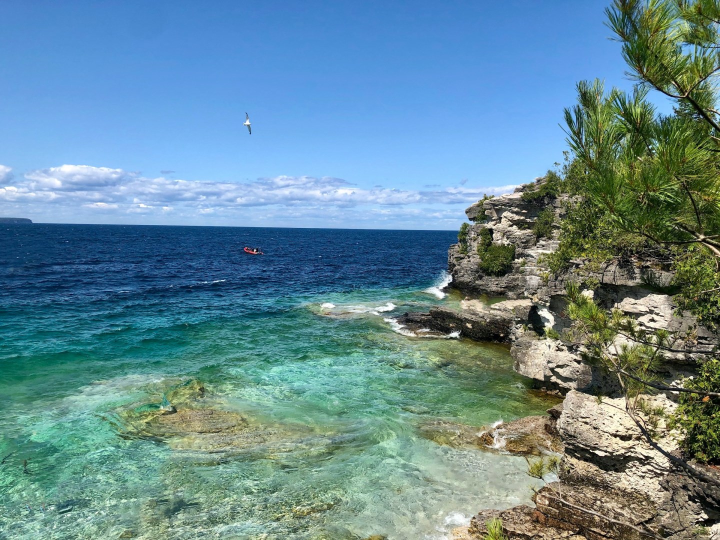 Bruce Trail - Photo Credit: Photo by Zen zeee on Unsplash