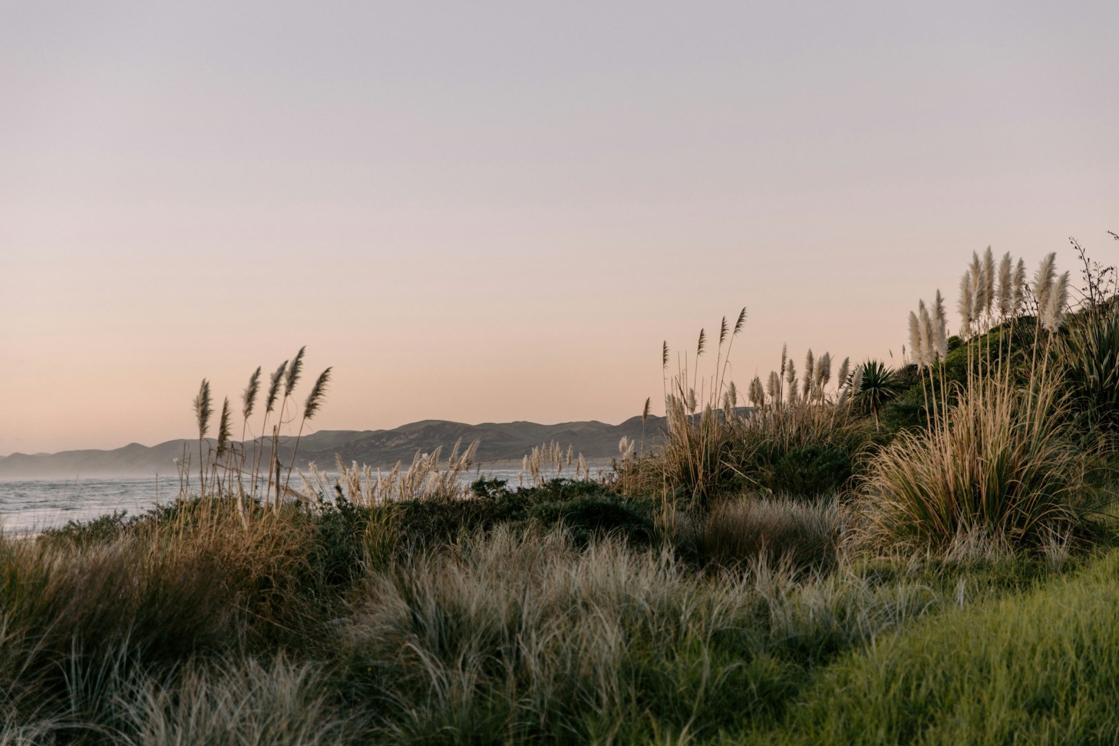 Raglan