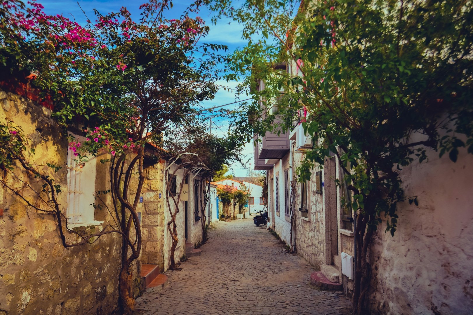  Photo Credit: Photo by Mehmet Uzut on Unsplash