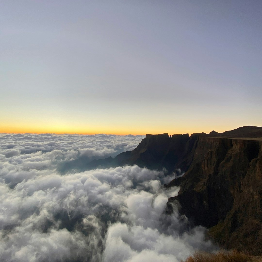  Photo Credit: Photo by Jandré van der Walt on Unsplash