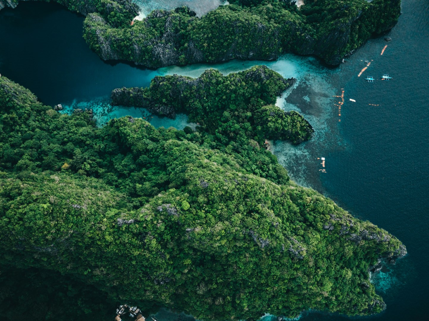  Photo Credit: Photo by Jared Rice on Unsplash