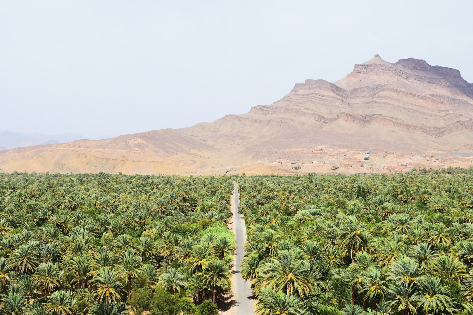  Photo Credit: Photo by Max van den Oetelaar on Unsplash