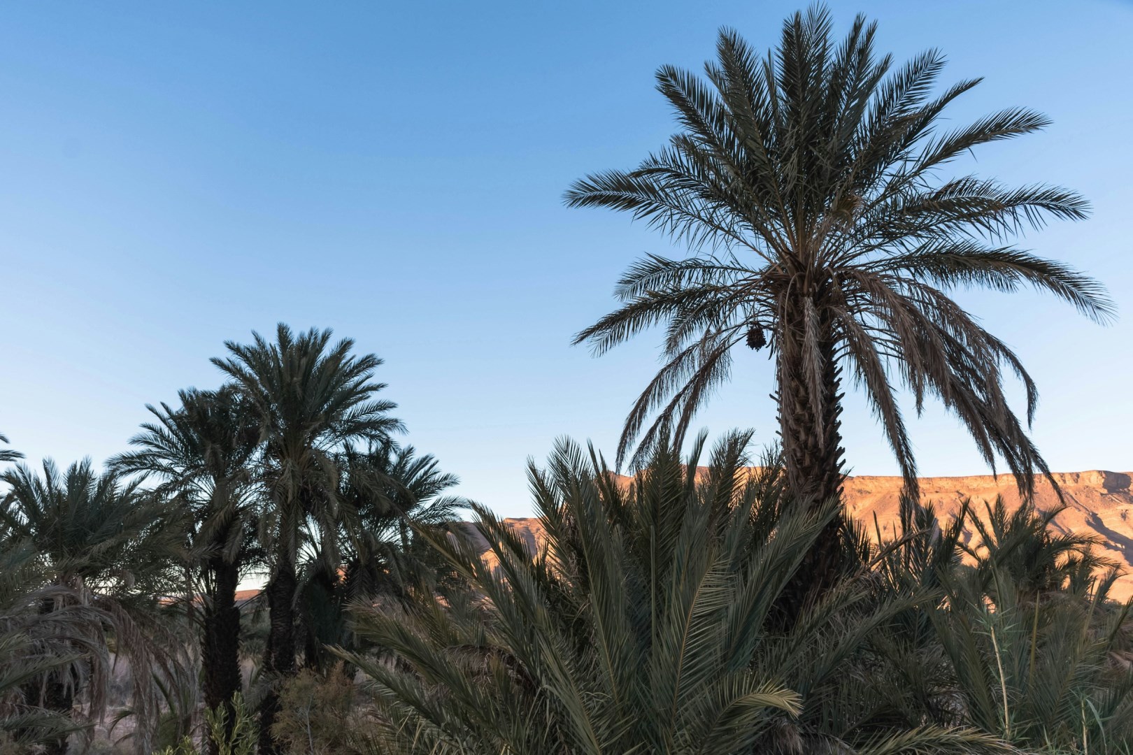  Photo Credit: Photo by Desert Morocco Adventure on Unsplash