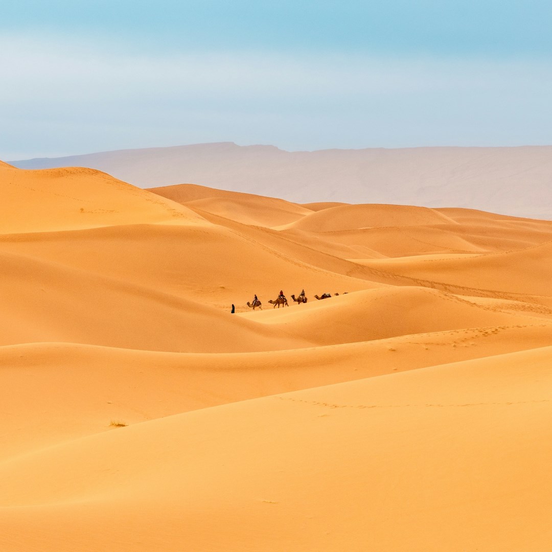  Photo Credit: Photo by Armands Brants on Unsplash