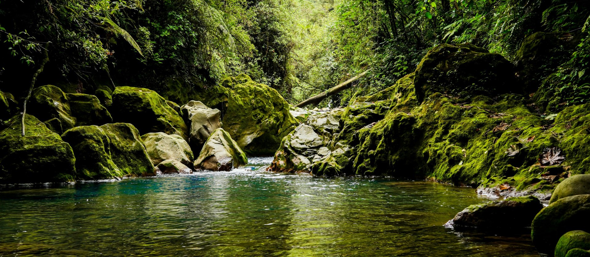  Photo Credit: Photo by Adrián Valverde on Unsplash