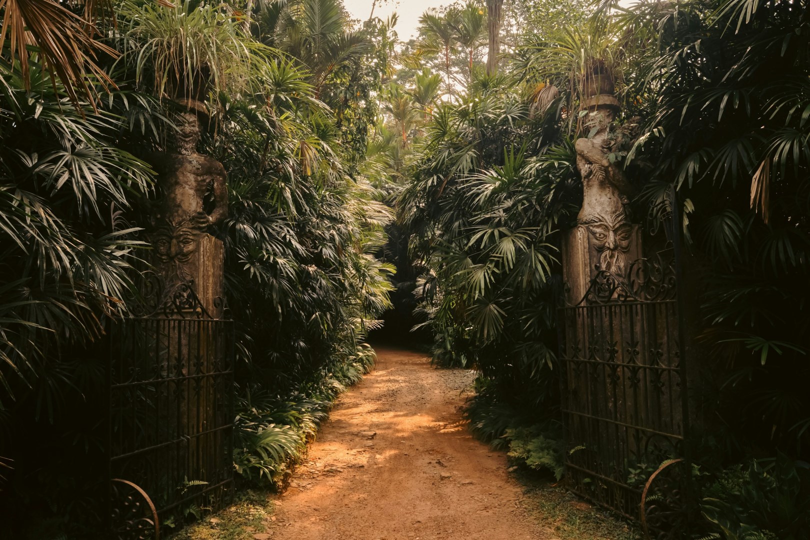  Photo Credit: Photo by Birendra Padmaperuma on Unsplash