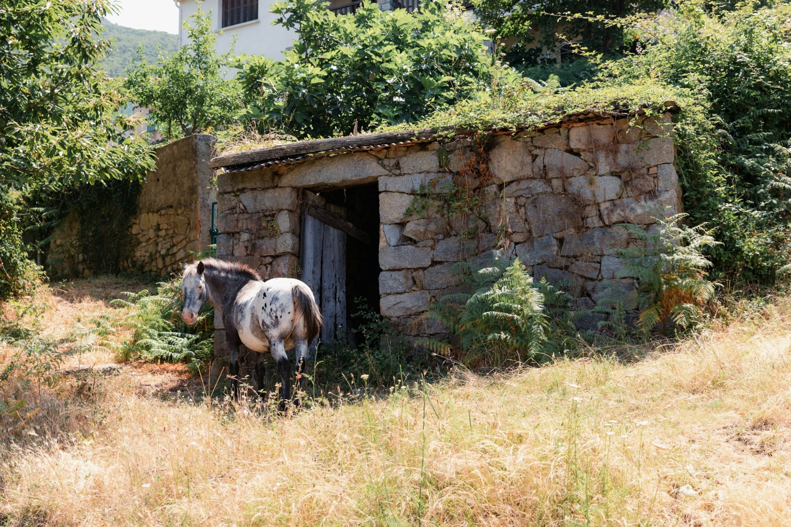  Photo Credit: Photo by Christian Lendl on Unsplash