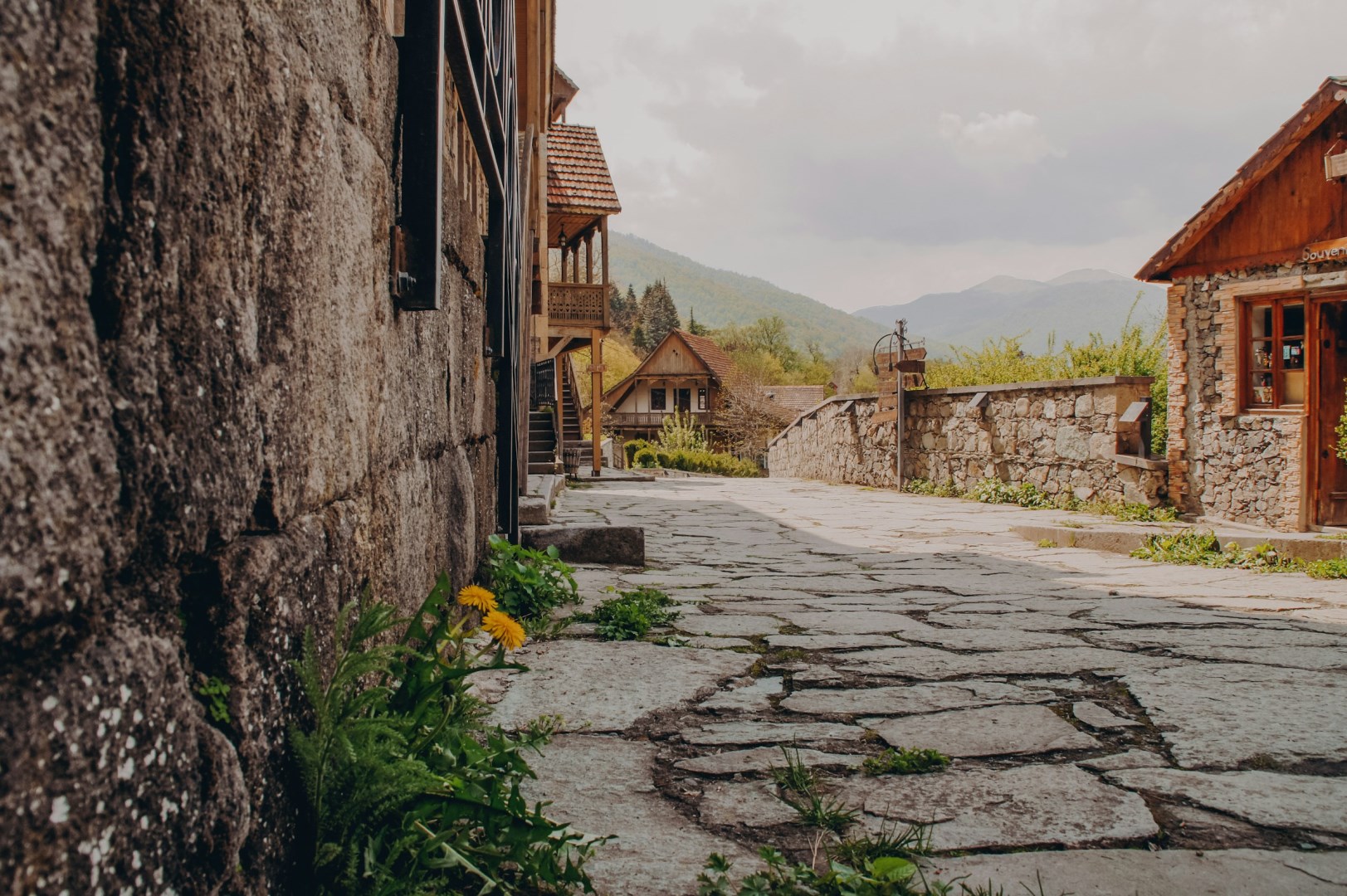  Photo Credit: Photo by Ekaterina Krusanova on Unsplash
