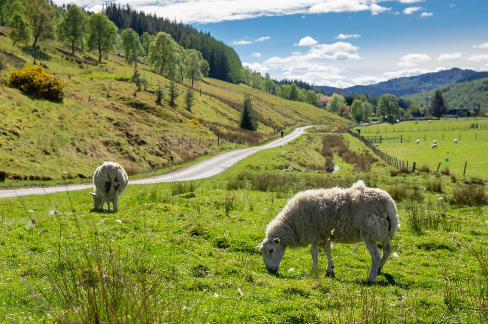  Photo Credit: Photo by Piotr Musioł on Unsplash