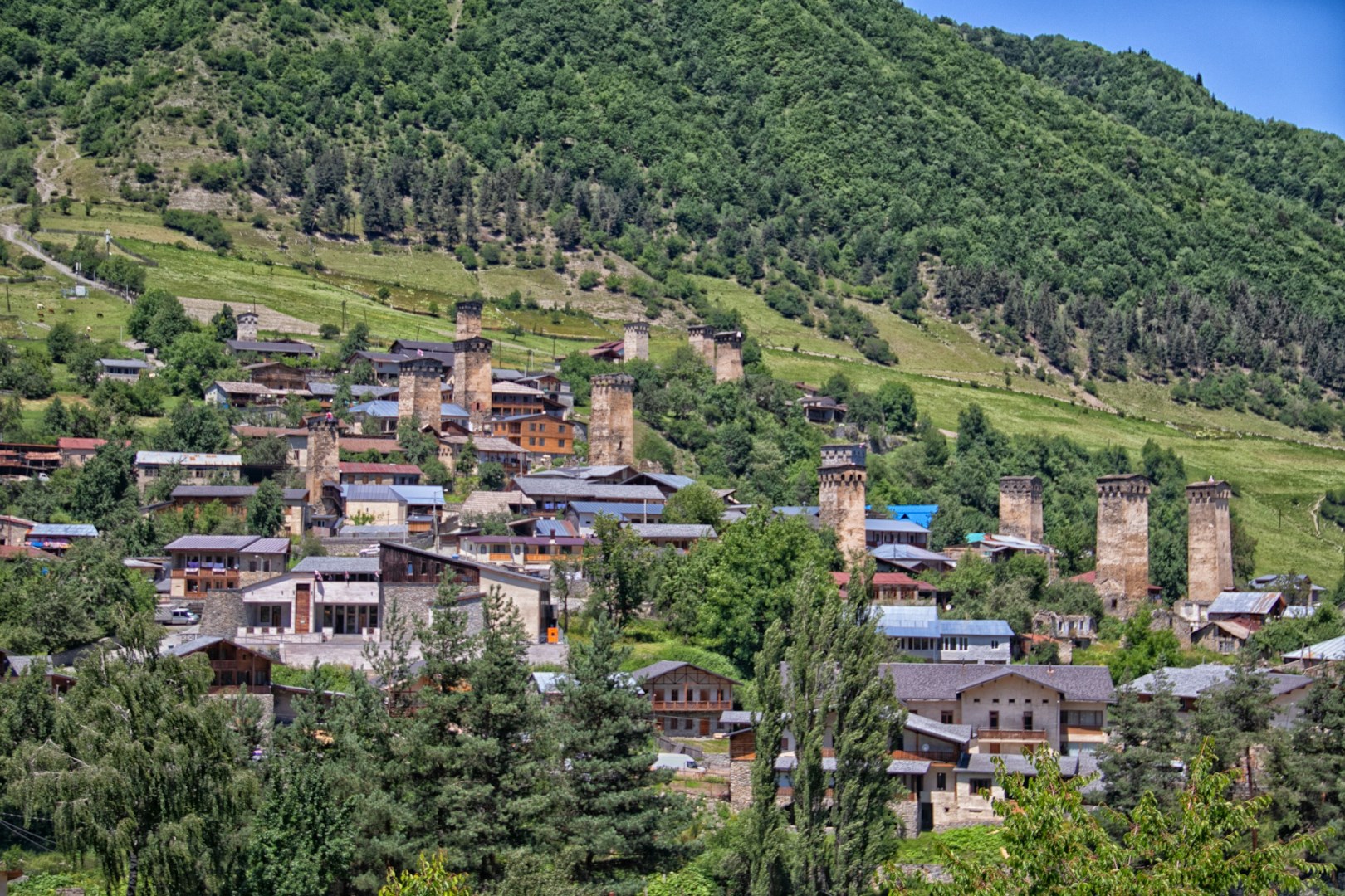  Photo Credit: Photo by ALEKO KEZEVADZE on Unsplash