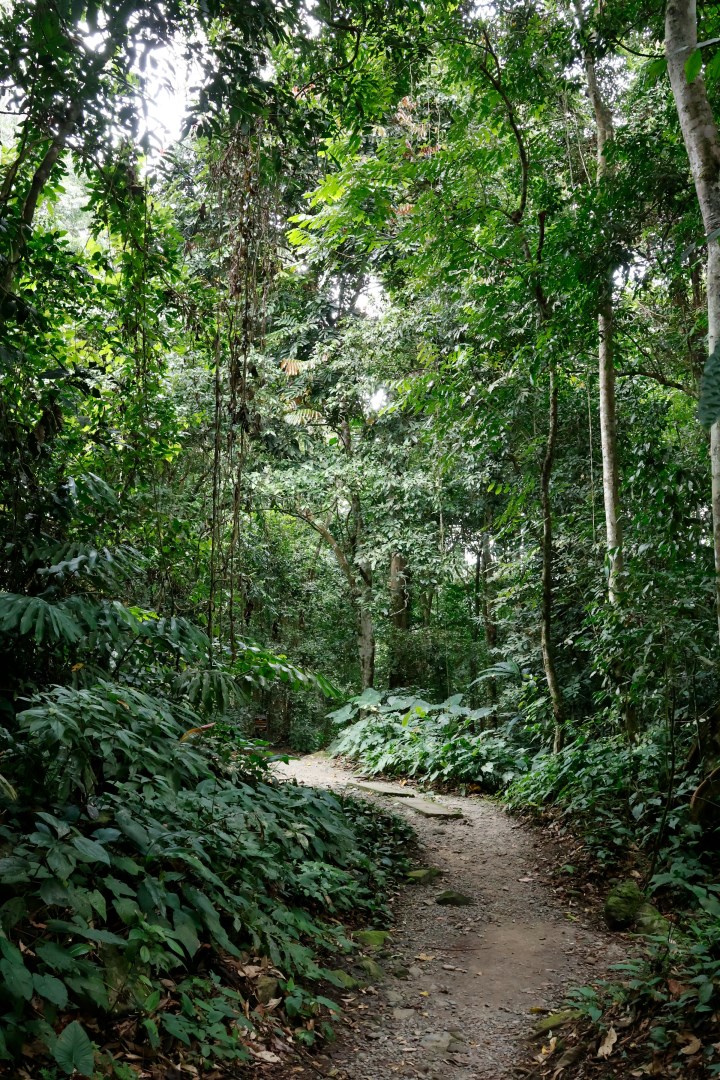 Kinabalu National Park