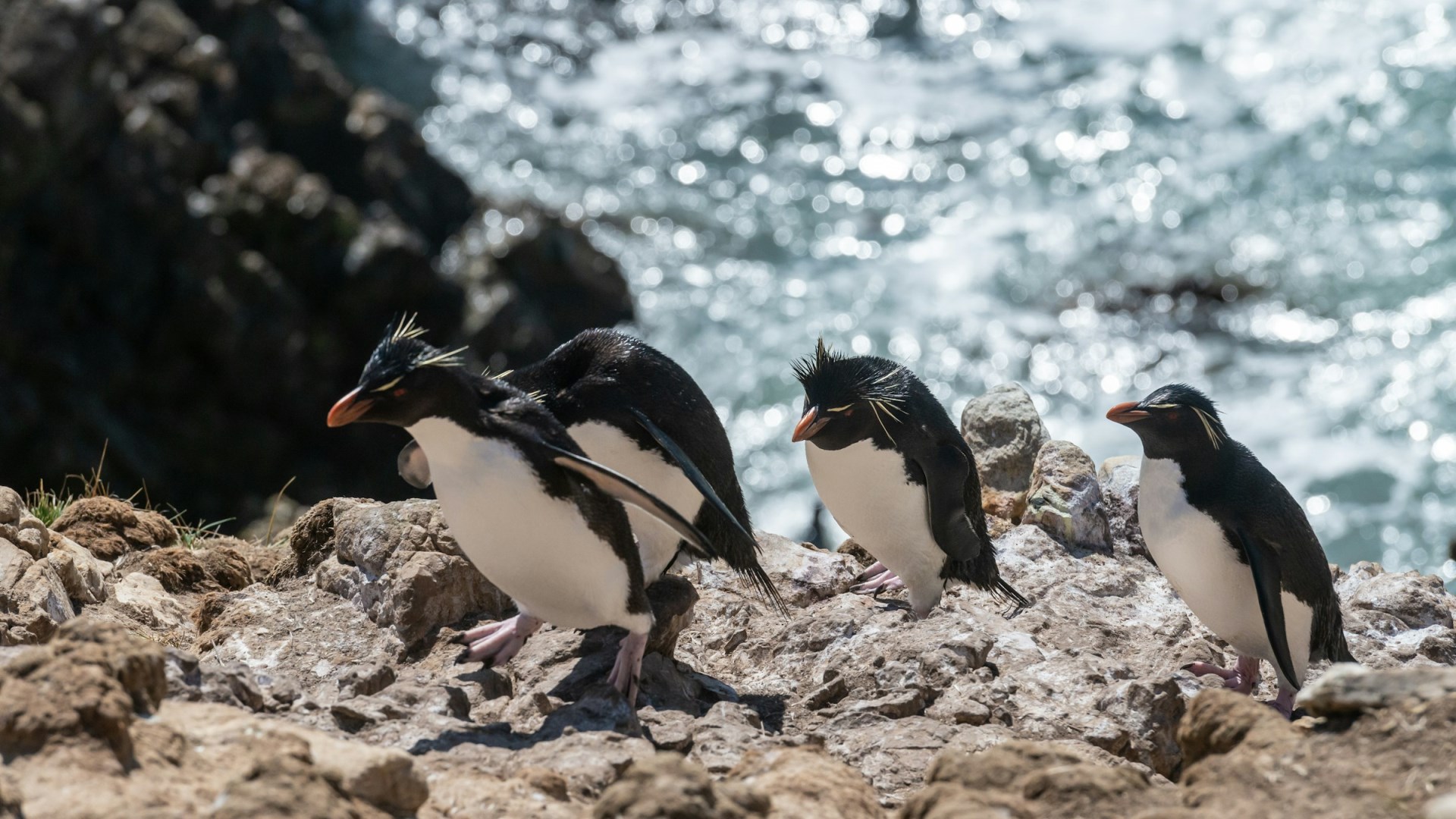  Photo Credit: Photo by Paul Carroll on Unsplash
