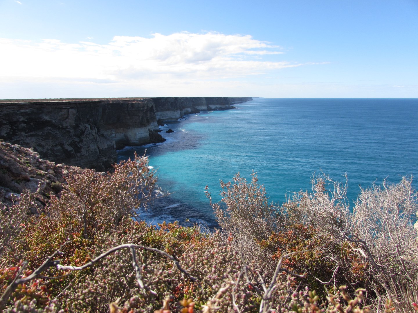 Rugged coastal cliffs overlooking the blue waters of the Great Australian Bight. - Photo Credit: Iurii Ostakhov